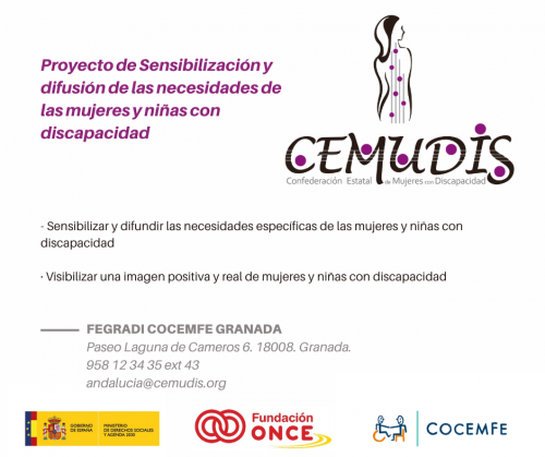 Proyecto de sensibilización y difusión de las necesidades de las mujeres y niñas con discapacidad