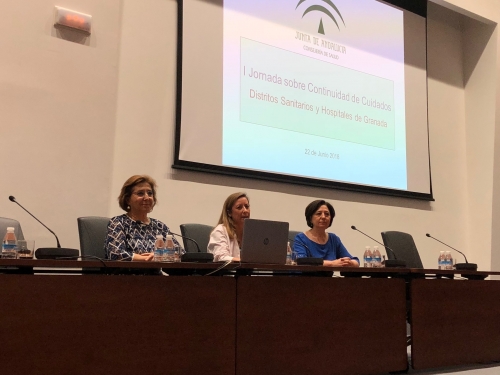 I Jornada de Trabajo sobre Continuidad de Cuidados