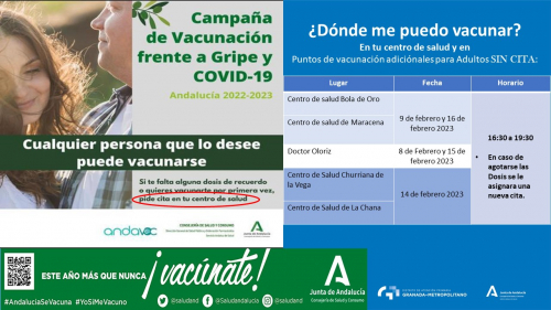 Campaña de vacunación frente a Gripe y Covid-19: ¿dónde me puedo vacunar?